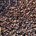 Capital Roasters Monsoon Malabar Coffee