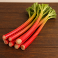 Rhubarb