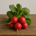 Radish (bunch)